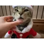 Christmas/Navidad/Diciembre🎉🎄🎅