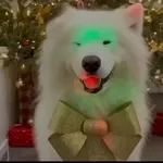 Christmas/Navidad/Diciembre🎉🎄🎅