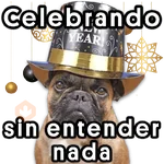 🥂 Año Nuevo 🌟2026🎉