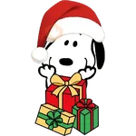 Snoopy Christmas ✨️
