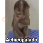 Monitos reacciones🐒🐵