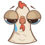 chicken