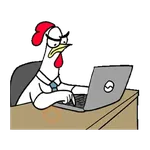 Chicken bro