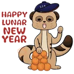 Chinese Lunar New Year 2025