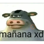 SDLG