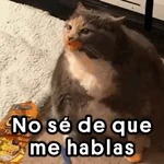Memes Random 19 ©️