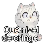 Gatos contestones 😼😾😸💬