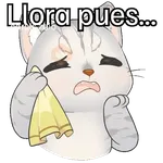 Gatos contestones 😼😾😸💬