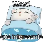 Gatos contestones 😼😾😸💬