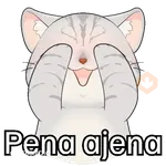 Gatos contestones 😼😾😸💬