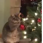 🎄Desde Septiembre 🎵🎁🎄🎅🏻