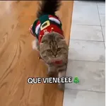 🎄Desde Septiembre 🎵🎁🎄🎅🏻