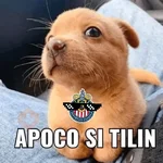 Chivas
