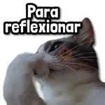 🪨 COMBO de Stickers #➑