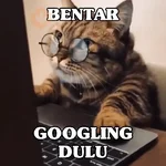 Kucing Random