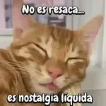 Gatos traviesos🐈🐾🐈‍⬛