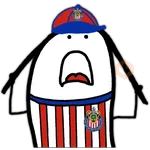 Flork ⚽ Chivas 💙❤️