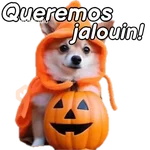 Otoño - Perritos funny 🍂🍁
