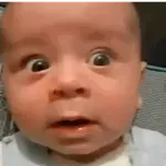 GIFs Bebês Engraçados 👶🏻 