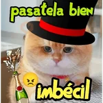 Año nuevo 