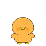 bald chicken