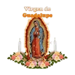 virgen de guadalupe/virgen 🇲🇽⛪️