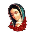 virgen de guadalupe/virgen 🇲🇽⛪️