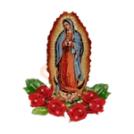 virgen de guadalupe/virgen 🇲🇽⛪️