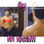 El bananero 3