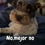 Perros para el chat🐶🐕
