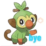 pokémon