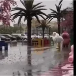 Reações gif