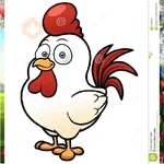 chicken