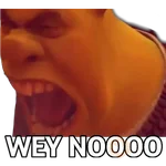 OSCAR 3 