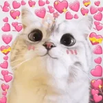 Meme Kucing Love 💖