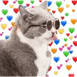 Meme Kucing Love 💖