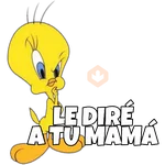 PIOLIN