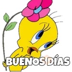 PIOLIN