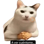 Mis pegatinas