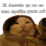 michis en actitud navideña 🎄🐈