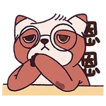 恩恩杰杰 2.0