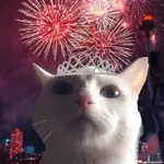 new year tahun baru