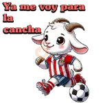 Chivas/Chivas de Guadalajara 🇲🇽