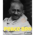 tamil