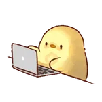 cute chicken 2