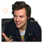 HARRY STYLES