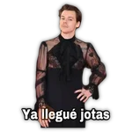 HARRY STYLES
