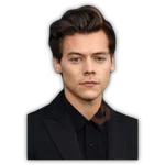 HARRY STYLES