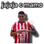 chivas