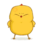 chicken